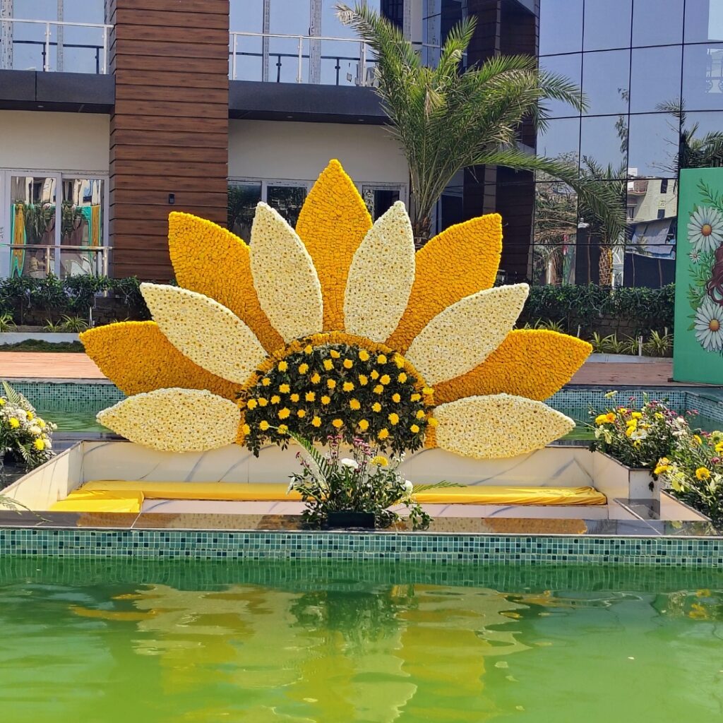 Haldi at Riyank Farms